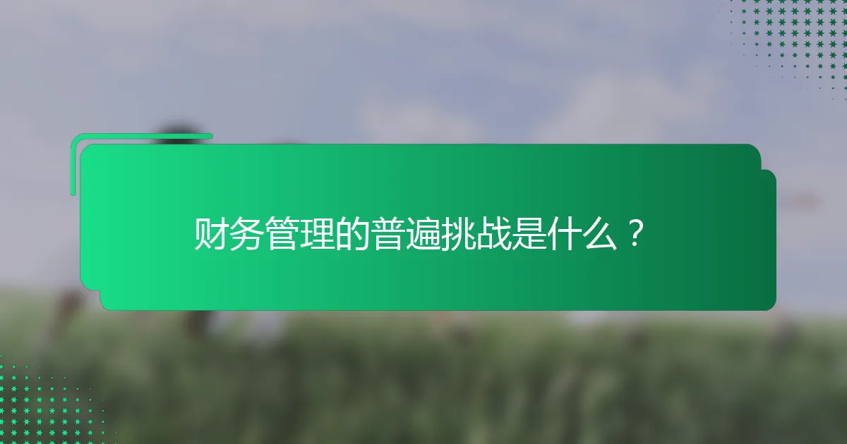 财务管理的普遍挑战是什么？