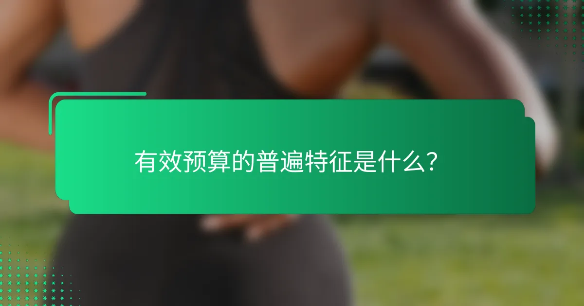 有效预算的普遍特征是什么？