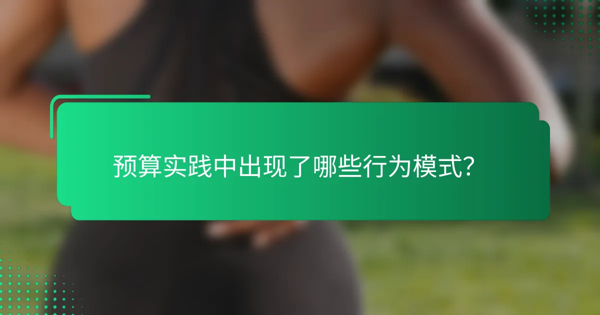 预算实践中出现了哪些行为模式？