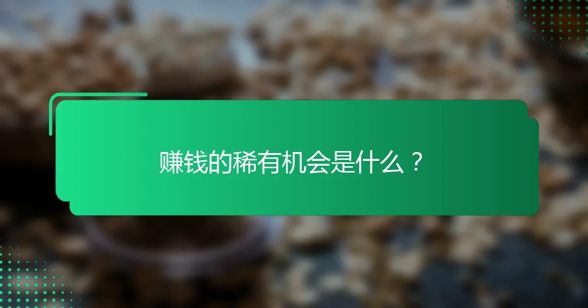 赚钱的稀有机会是什么？